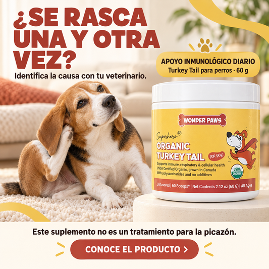 HONGO COLA DE PAVO WONDER PAWS PREMIUM