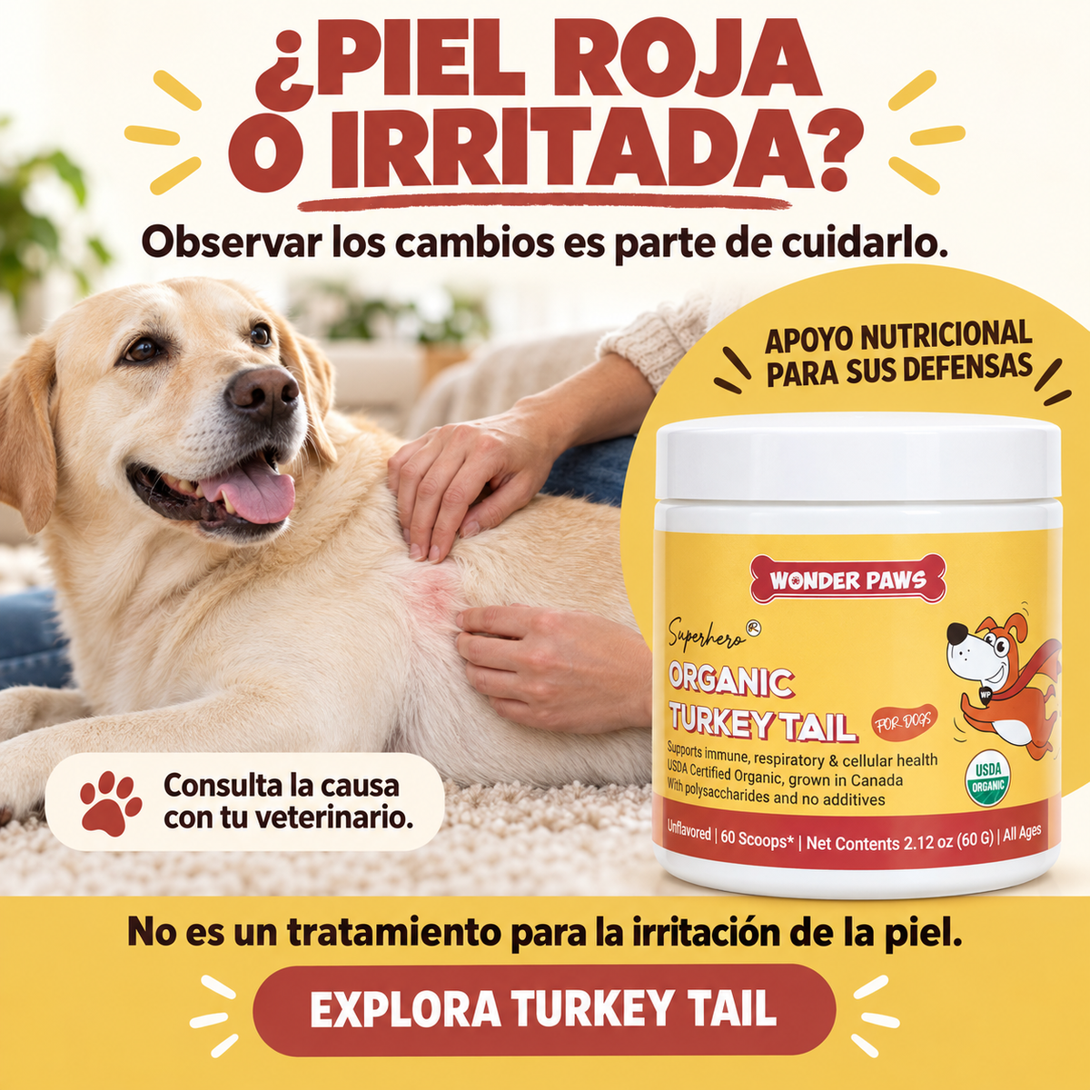 HONGO COLA DE PAVO WONDER PAWS PREMIUM