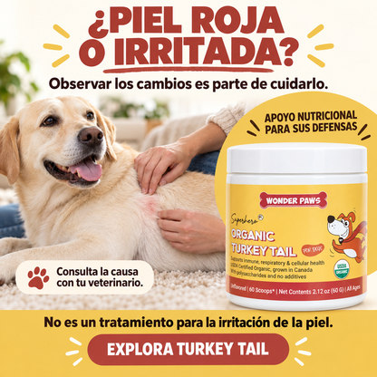 HONGO COLA DE PAVO WONDER PAWS PREMIUM