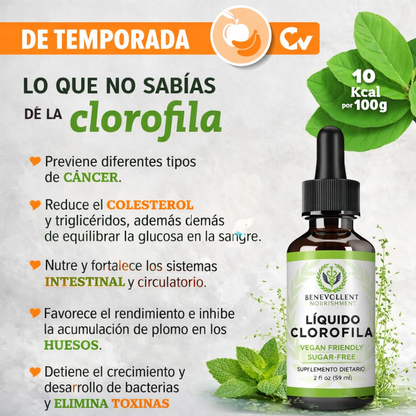 CLOROFILA BALANCE – DIGESTIÓN + FRESCURA DIARIA