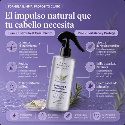 Tónico de crecimiento romero y arroz